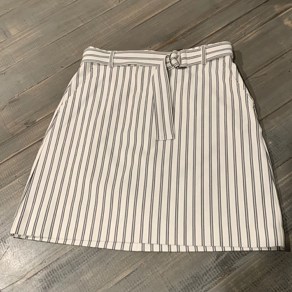 Ann Taylor Belted Skirt, Size 10